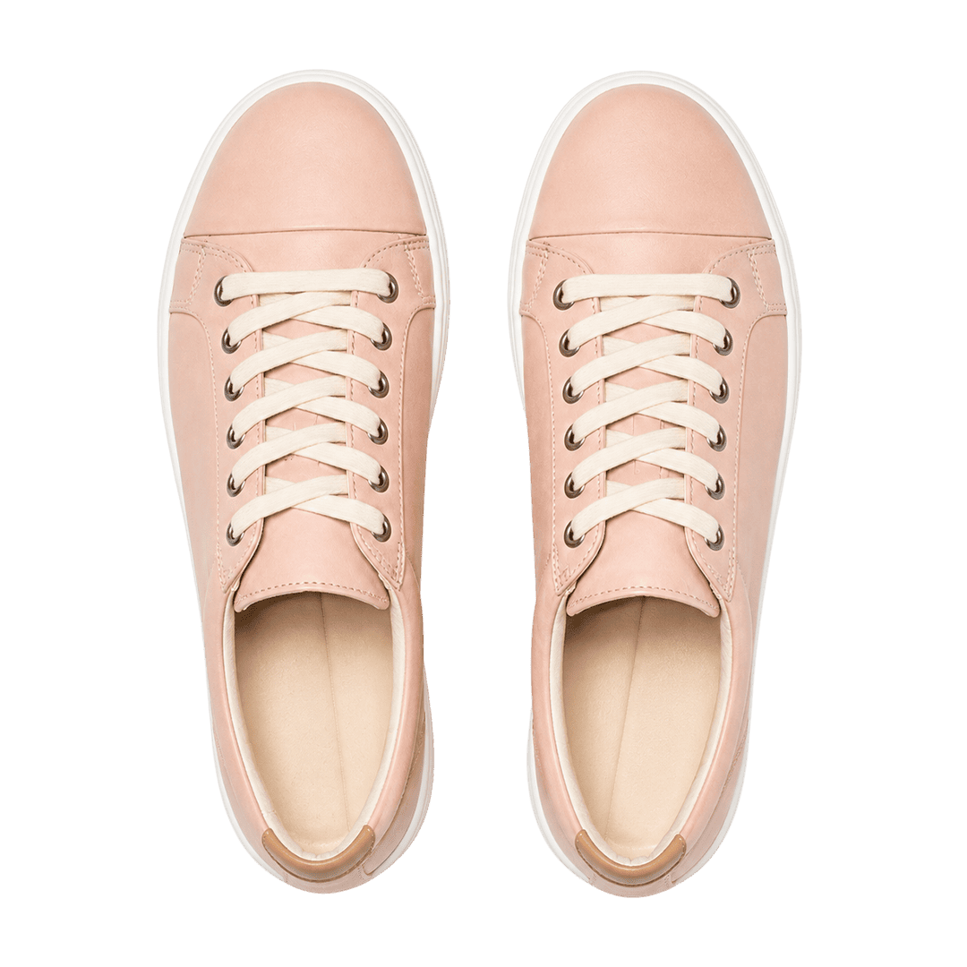 Blush Everyday Lace  